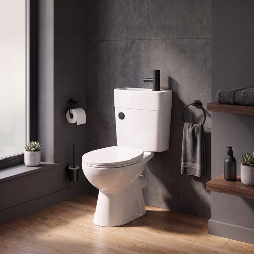 Cloakroom toilet sink - cloakroom, &
