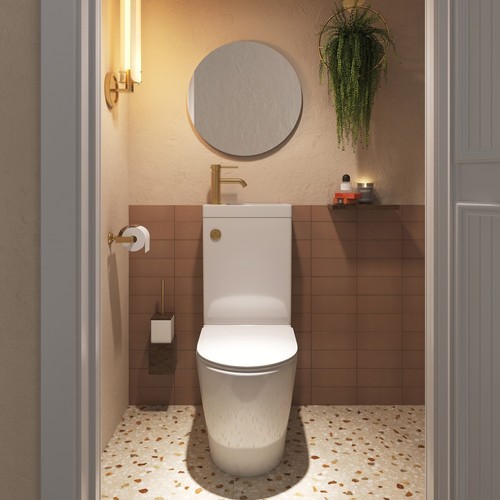 Toilet basin combo - basin, in